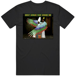 Ausar Black Unisex Cotton Tee Classic T Shirt