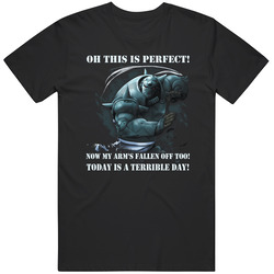 Anime - This Is Perfect! Now My Arms Fallen Off Too! Today Is A Terrible Day! Unisex Cotton Tee Classic T Shirt