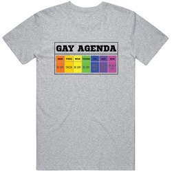 Gay Agenda Funny Lgbt Tacos Be Gay Super Gay Brunch Gay Rainbow Flag Ironic Unisex Cotton Tee Classic T Shirt