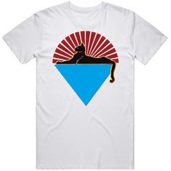 Jerrydodi Unisex Cotton Tee Classic T Shirt