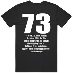 Big Bang Theory Tv Sheldon 73 Is The Prime Number Unisex Unisex Cotton Tee Classic T Shirt