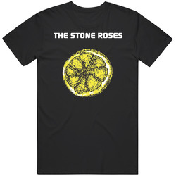 The Stone Unisex Cotton Tee Classic T Shirt