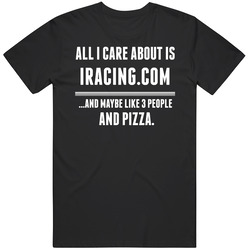 Iracing.com All I Care About Is Video Game Fan Unisex Classic T Shirt