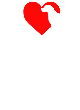 https://s3.us-west-1.wasabisys.com/ecart-content/goodnine.com/overlays/398/685/39868514.png img