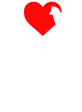 https://s3.us-west-1.wasabisys.com/ecart-content/goodnine.com/overlays/398/685/39868550.png img