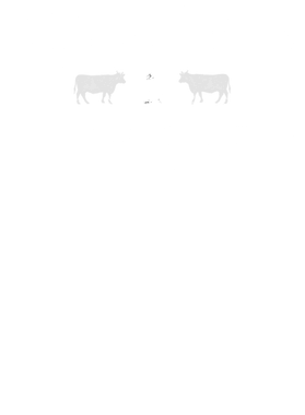 https://s3.us-west-1.wasabisys.com/ecart-content/goodnine.com/overlays/398/705/39870590.png img