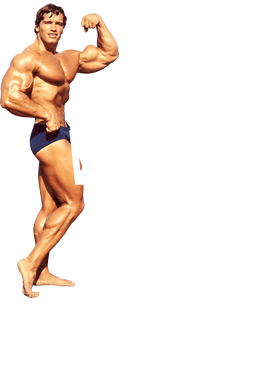 https://s3.us-west-1.wasabisys.com/ecart-content/goodnine.com/overlays/398/711/39871160.png img