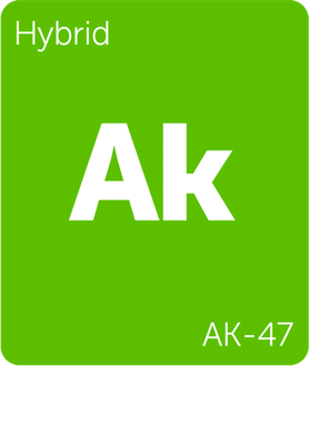 https://s3.us-west-1.wasabisys.com/ecart-content/goodnine.com/overlays/398/712/39871263.png img