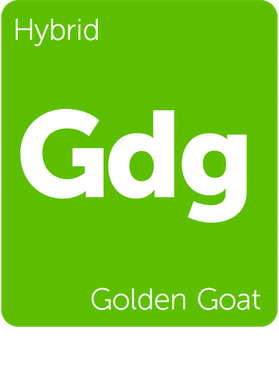 https://s3.us-west-1.wasabisys.com/ecart-content/goodnine.com/overlays/398/712/39871269.png img