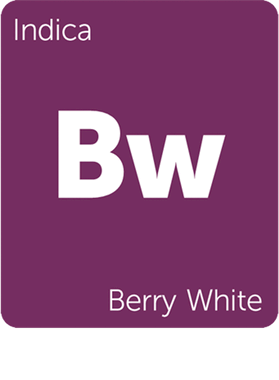 https://s3.us-west-1.wasabisys.com/ecart-content/goodnine.com/overlays/398/712/39871289.png img