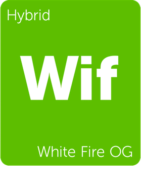 https://s3.us-west-1.wasabisys.com/ecart-content/goodnine.com/overlays/398/713/39871328.png img