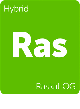 https://s3.us-west-1.wasabisys.com/ecart-content/goodnine.com/overlays/398/713/39871351.png img