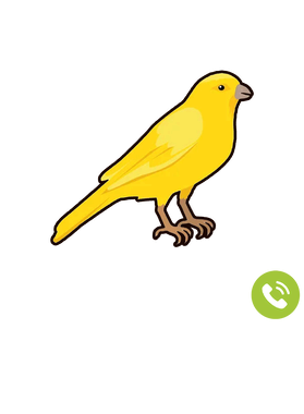 https://s3.us-west-1.wasabisys.com/ecart-content/goodnine.com/overlays/398/729/39872939.png img