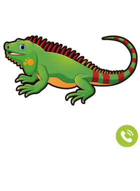 https://s3.us-west-1.wasabisys.com/ecart-content/goodnine.com/overlays/398/729/39872943.png img