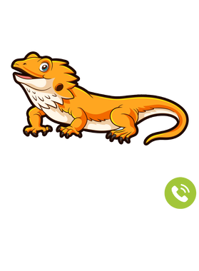 https://s3.us-west-1.wasabisys.com/ecart-content/goodnine.com/overlays/398/729/39872944.png img