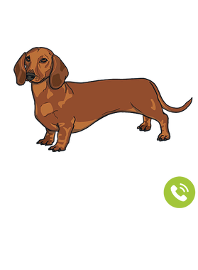 https://s3.us-west-1.wasabisys.com/ecart-content/goodnine.com/overlays/398/730/39873007.png img
