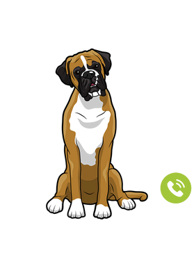 https://s3.us-west-1.wasabisys.com/ecart-content/goodnine.com/overlays/398/730/39873008.png img