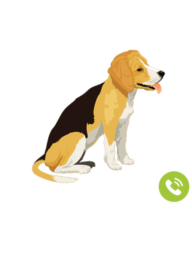https://s3.us-west-1.wasabisys.com/ecart-content/goodnine.com/overlays/398/730/39873010.png img