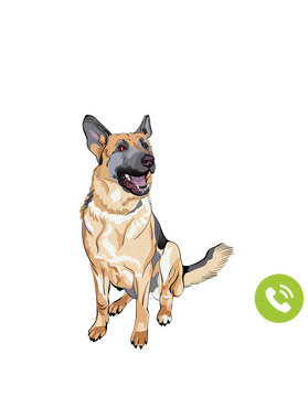 https://s3.us-west-1.wasabisys.com/ecart-content/goodnine.com/overlays/398/730/39873011.png img