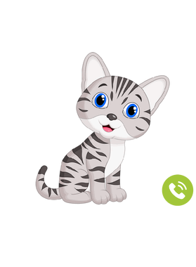 https://s3.us-west-1.wasabisys.com/ecart-content/goodnine.com/overlays/398/730/39873015.png img