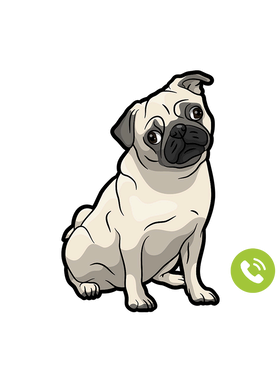https://s3.us-west-1.wasabisys.com/ecart-content/goodnine.com/overlays/398/730/39873019.png img