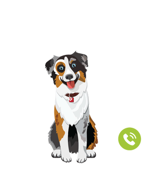 https://s3.us-west-1.wasabisys.com/ecart-content/goodnine.com/overlays/398/730/39873020.png img