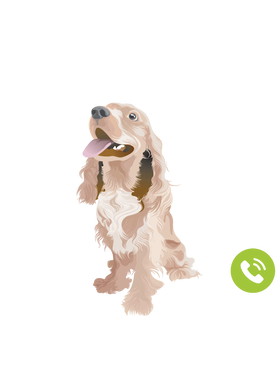https://s3.us-west-1.wasabisys.com/ecart-content/goodnine.com/overlays/398/730/39873022.png img