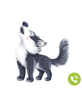 https://s3.us-west-1.wasabisys.com/ecart-content/goodnine.com/overlays/398/730/39873025.png img