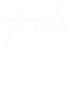 https://s3.us-west-1.wasabisys.com/ecart-content/goodnine.com/overlays/398/747/39874776.png img