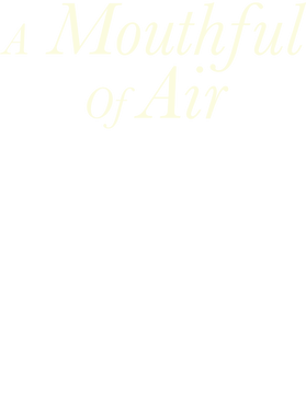 https://s3.us-west-1.wasabisys.com/ecart-content/goodnine.com/overlays/398/800/39880029.png img