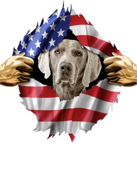 https://s3.us-west-1.wasabisys.com/ecart-content/goodnine.com/overlays/398/981/39898126.png img