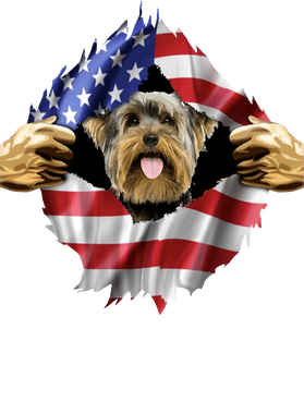 https://s3.us-west-1.wasabisys.com/ecart-content/goodnine.com/overlays/398/981/39898128.png img