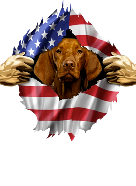 https://s3.us-west-1.wasabisys.com/ecart-content/goodnine.com/overlays/398/981/39898130.png img