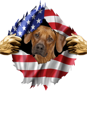 https://s3.us-west-1.wasabisys.com/ecart-content/goodnine.com/overlays/398/981/39898152.png img