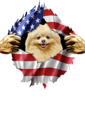 https://s3.us-west-1.wasabisys.com/ecart-content/goodnine.com/overlays/398/981/39898154.png img