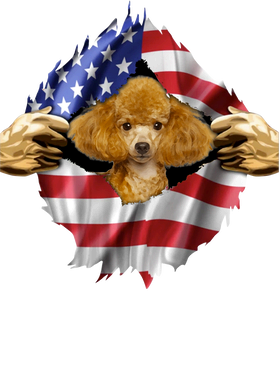 https://s3.us-west-1.wasabisys.com/ecart-content/goodnine.com/overlays/398/981/39898156.png img