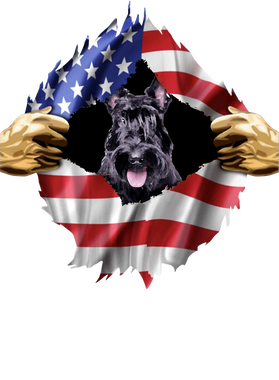 https://s3.us-west-1.wasabisys.com/ecart-content/goodnine.com/overlays/398/981/39898162.png img