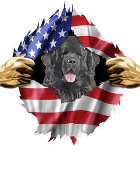 https://s3.us-west-1.wasabisys.com/ecart-content/goodnine.com/overlays/398/981/39898173.png img