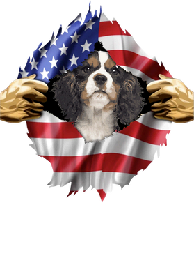 https://s3.us-west-1.wasabisys.com/ecart-content/goodnine.com/overlays/398/981/39898191.png img