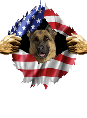 https://s3.us-west-1.wasabisys.com/ecart-content/goodnine.com/overlays/398/981/39898195.png img