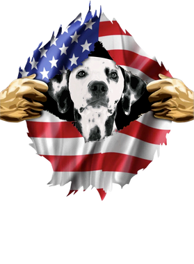 https://s3.us-west-1.wasabisys.com/ecart-content/goodnine.com/overlays/398/982/39898209.png img