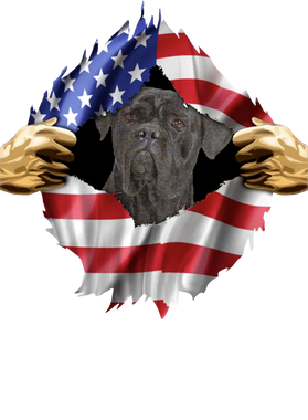 https://s3.us-west-1.wasabisys.com/ecart-content/goodnine.com/overlays/398/982/39898213.png img
