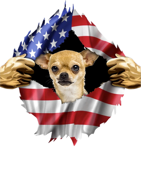 https://s3.us-west-1.wasabisys.com/ecart-content/goodnine.com/overlays/398/982/39898217.png img