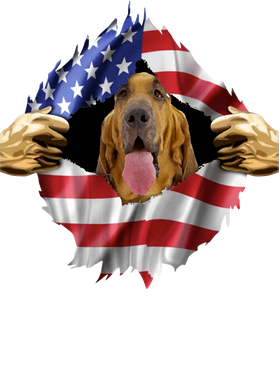 https://s3.us-west-1.wasabisys.com/ecart-content/goodnine.com/overlays/398/982/39898233.png img