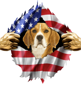 https://s3.us-west-1.wasabisys.com/ecart-content/goodnine.com/overlays/398/982/39898235.png img