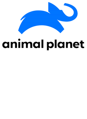 https://s3.us-west-1.wasabisys.com/ecart-content/goodnine.com/overlays/398/982/39898250.png img