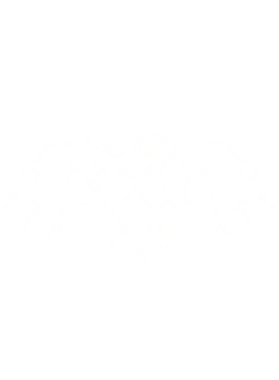 https://s3.us-west-1.wasabisys.com/ecart-content/goodnine.com/overlays/399/224/39922488.png img