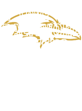 https://s3.us-west-1.wasabisys.com/ecart-content/goodnine.com/overlays/399/229/39922952.png img