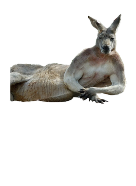 https://s3.us-west-1.wasabisys.com/ecart-content/goodnine.com/overlays/399/236/39923661.png img