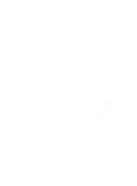 https://s3.us-west-1.wasabisys.com/ecart-content/goodnine.com/overlays/399/238/39923821.png img